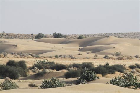 Desert National Park Jaisalmer (Timings, Entry Fee, Safari, Images ...