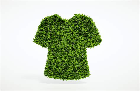 Top Sustainable and Eco-friendly Fashion Materials