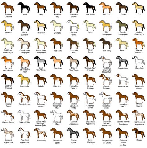 lockwood horses: horse colors