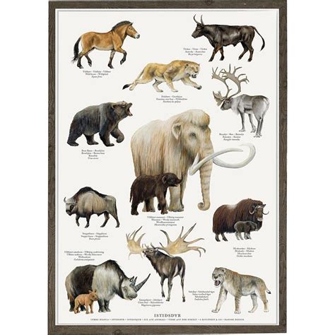 Ice Age Animals - Poster A2, POSTERS, €13.27, POSTERS / POSTERS ...