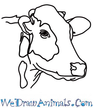 cow drawing easy images - Be A Terrific Memoir Picture Library