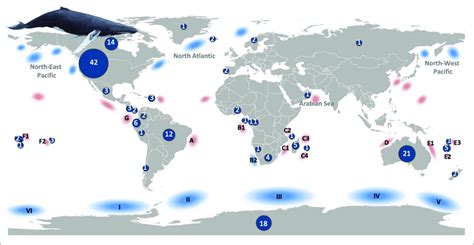 Humpback Whale Population Map