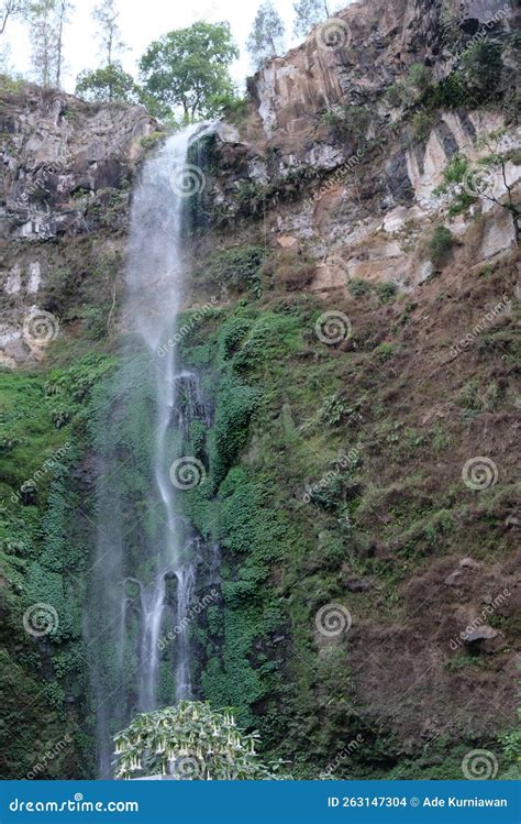 Coban Rondo waterfall stock photo. Image of plant, terrain - 263147304