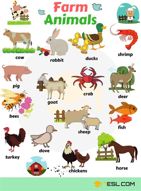 Farm Animals Names and List of Farm Animals in English • 7ESL