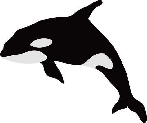 Orca clipart silhouette, Orca silhouette Transparent FREE for download on WebStockReview 2024