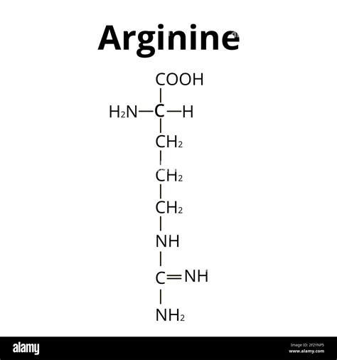 Amino acid l arginine Cut Out Stock Images & Pictures - Alamy