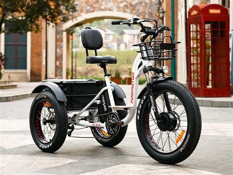 M-340 Electric Fat Trike