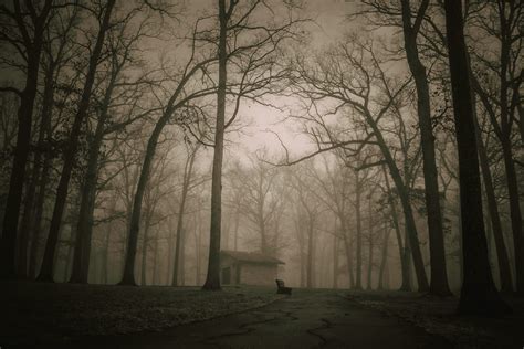 Most Haunted places in Kerala: The Scary side of "Gods Own Country"