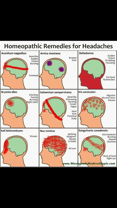 Homeopathic remedies for headaches | Homeopathy, Natural headache remedies, Headache remedies