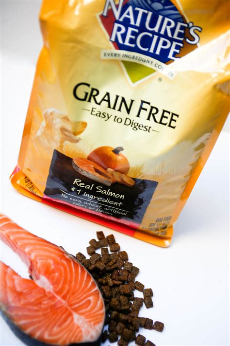 10 Best Salmon-Based Dog Foods for a Healthy and Happy Pup - Nature's Recipe Leads the Pack ...