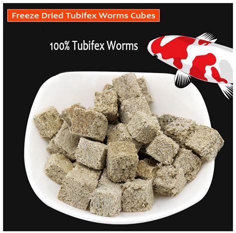 Freeze Dried Tubifex Worms Cubes Manufacturers, Suppliers - Factory ...