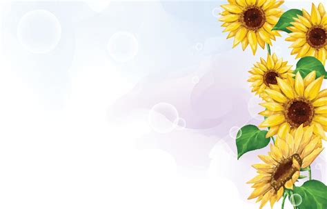 Watercolor Sunflower Background 7941500 Vector Art at Vecteezy