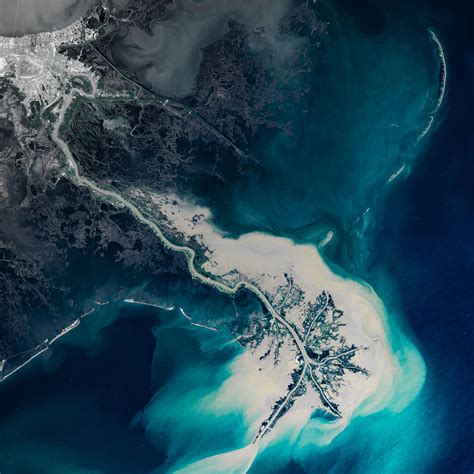 Modeling River Delta Formation | Carolina Biological Supply