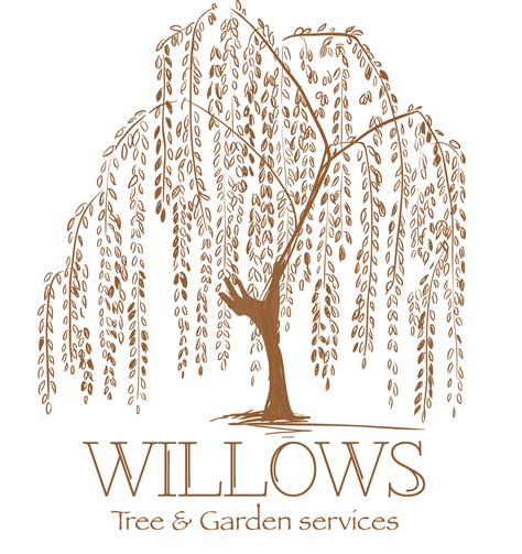 Weeping willow Tattoo artist Tree Drawing - tree png download - 1574*1671 - Free Transparent ...