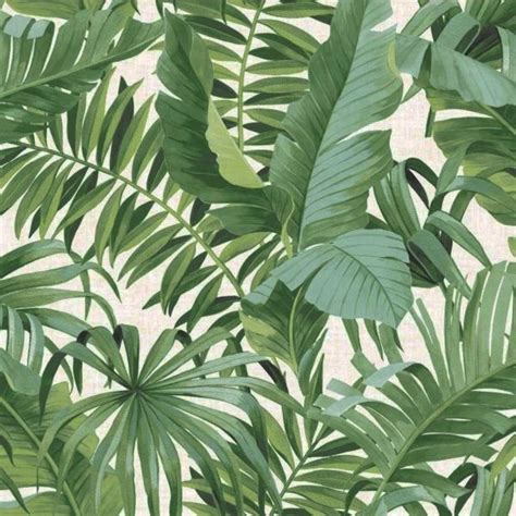 A-Street Prints Solstice Palm Leaf Wallpaper Green Fine Decor FD24136