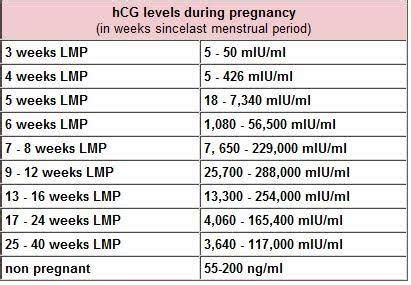 HCG Levels At 3 Weeks 5 Days? | BabyCenter