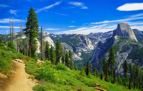 Обои деревья, горы, Калифорния, тропинка, California, Yosemite Valley, Yosemite National Park ...