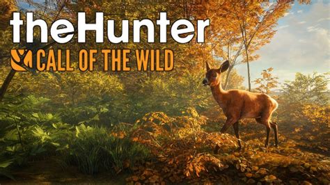 Гайд The Hunter: Call of the Wild. Лучшие места для охоты на карте ...