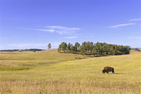 Great Plains land use changes have improved the local climate • Earth.com