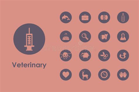 Set of Veterinary Simple Icons Stock Vector - Illustration of information, color: 61550887