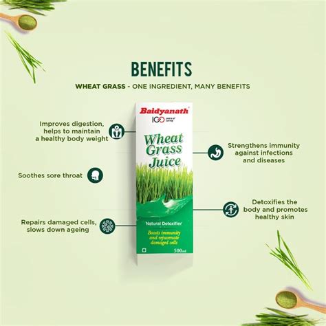 Benefits Of Wheatgrass | ubicaciondepersonas.cdmx.gob.mx