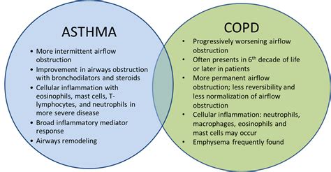 Global Asthma and COPD Therapeutics Market $44.1 Billion by 2031