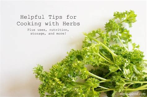 Cooking with Herbs - DIY Inspired