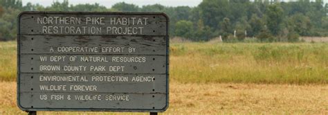 Northern Pike Habitat Restoration in the Suamico/Little Suamico Watershed - Fox River NRDA