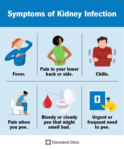 Kidney Infection (Pyelonephritis): Symptoms & Treatment