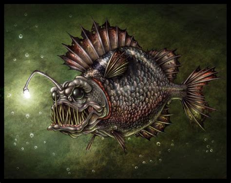 angler | Illustration - fish | Pinterest | Angler fish, Illustrations and Artwork