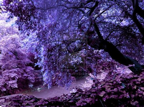 Beautiful!! | Purple lady, Purple, Purple aesthetic