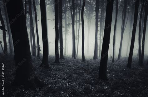 dark forest background, Halloween scary atmosphere Stock Photo | Adobe ...