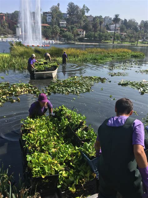 Echo Park Lake