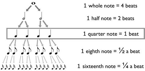 How to Read Music - Part 2: How Rhythm Really Works | School of Composition