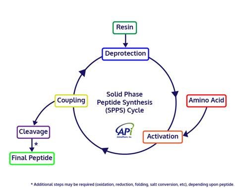 How are Peptides Synthesized? | AmbioPharm