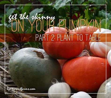 DIY: How to Process and Eat Your Incredible Edible Pumpkin