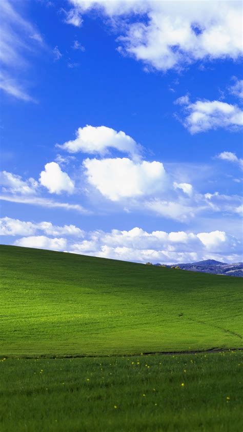 Windows XP Background 4K #1460e Wallpaper PC Desktop