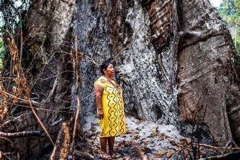 Deforestation Hits Home: Indigenous Communities Fight for the Future of Their Amazon | CSIS ...