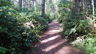 Banner Forest — Washington Trails Association