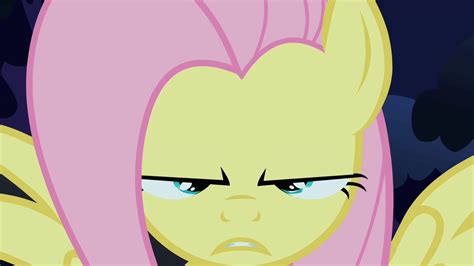 Image - Fluttershy about to do the stare S1E17.png - My Little Pony Friendship is Magic Wiki