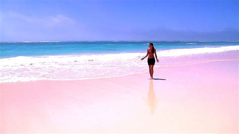 Pink Sands Resort Bermuda - Pink Choices