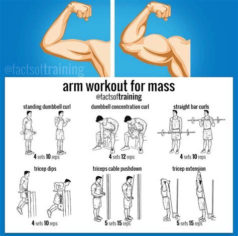 Home Workout Routine Muscle Building Exercises