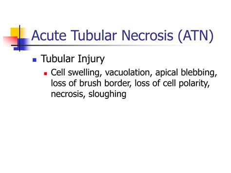 PPT - Acute Tubular Necrosis PowerPoint Presentation, free download - ID:1464534