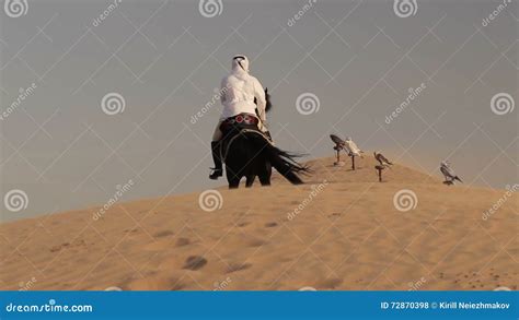 Arabian Horse Rider Riding on Desert in Dubai Stock Footage - Video of arab, equipment: 72870398