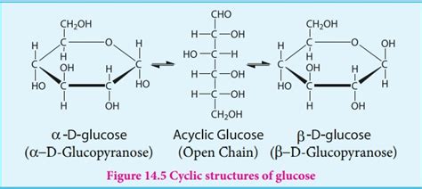 Chemical Structure Of Glucose Chain Form