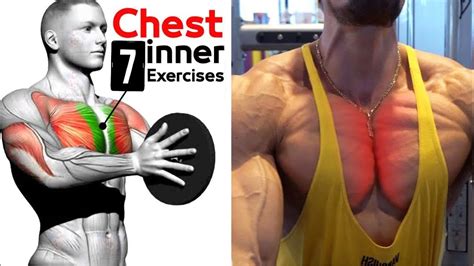 Ultimate Chest Workout Legion