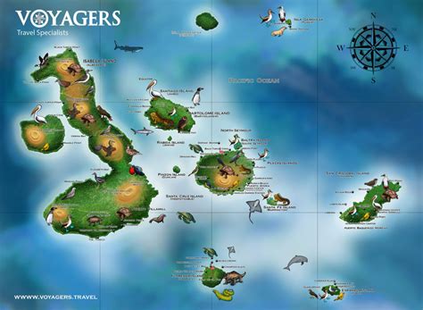 Galapagos Islands Map | Geographical Location | Voyagers Travel