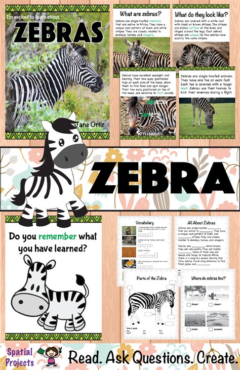 All About Zebras Nonfiction Unit | Zebra craft, Zebra, Zebras