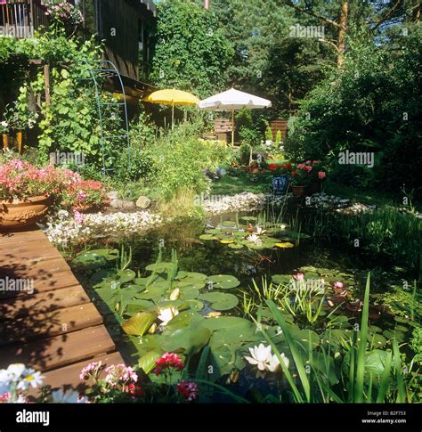 garden pond with bridge Stock Photo - Alamy