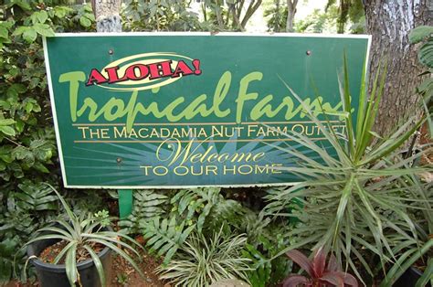 Tropical Farms Macadamia Nut Farm on Oahu, Hawaii